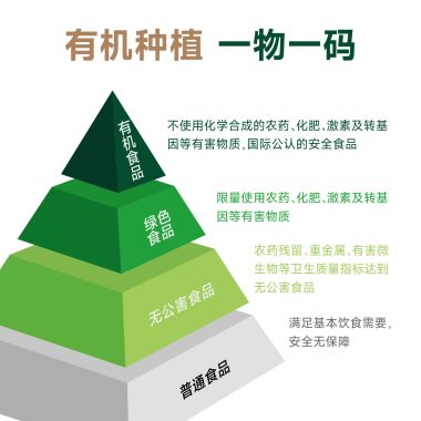 主图2